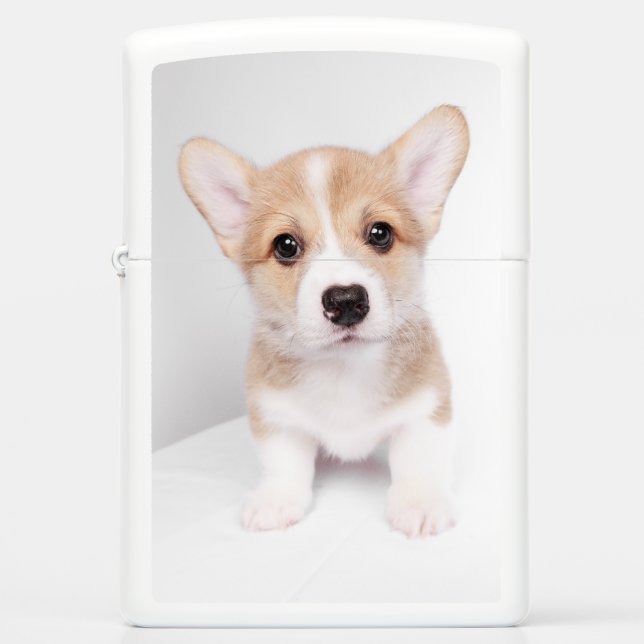 Cutest Baby Animals | Tiny Corgi Zippo Lighter (Front)