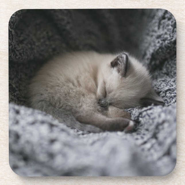Cutest Baby Animals | Tiny Kitten Sleeping Beverage Coaster (Front)