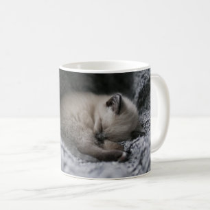Cutest Baby Animals Tiny Kitten Sleeping Coffee Mug