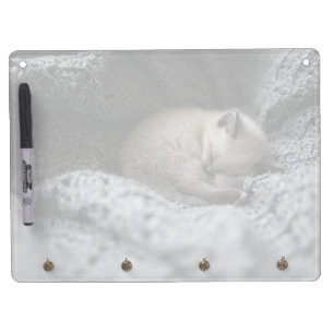 Cutest Baby Animals   Tiny Kitten Sleeping Dry Erase Board With Keychain Holder