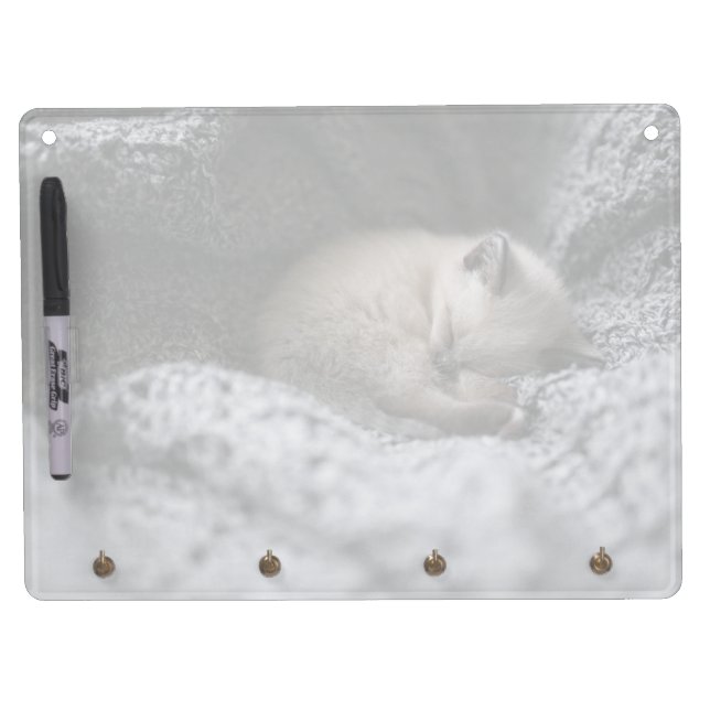 Cutest Baby Animals | Tiny Kitten Sleeping Dry Erase Board With Keychain Holder (Front)