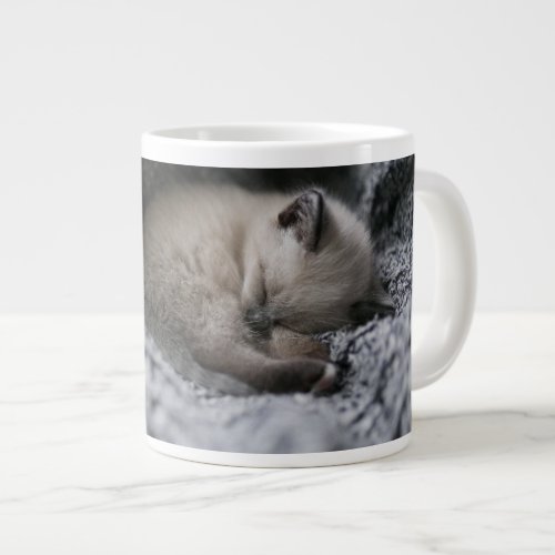 Cutest Baby Animals  Tiny Kitten Sleeping Giant Coffee Mug