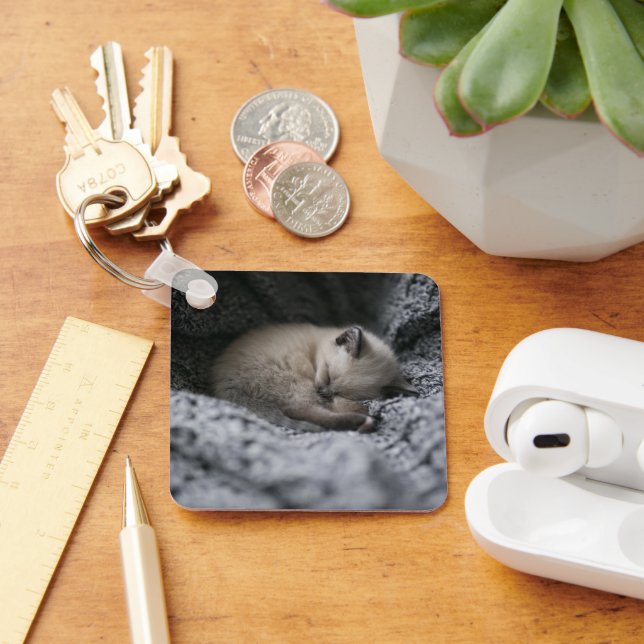 Cutest Baby Animals | Tiny Kitten Sleeping Keychain (Desk)