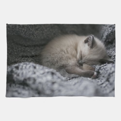 Cutest Baby Animals  Tiny Kitten Sleeping Kitchen Towel