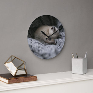 Cutest Baby Animals Tiny Kitten Sleeping Large Clock