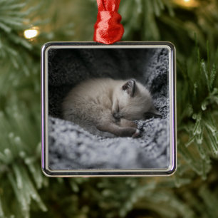 Cutest Baby Animals Tiny Kitten Sleeping Metal Ornament