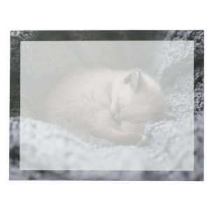 Cutest Baby Animals   Tiny Kitten Sleeping Notepad