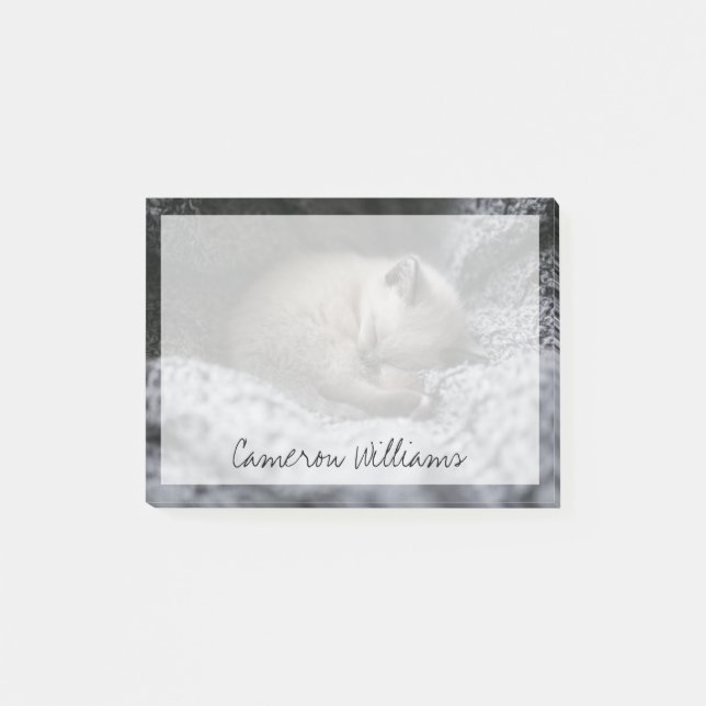 Cutest Baby Animals | Tiny Kitten Sleeping Post-it Notes (Front)