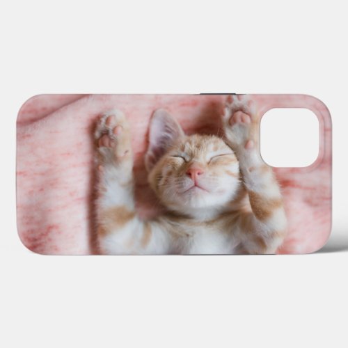 Cutest Baby Animals  Tiny Orange Striped Kitten iPhone 13 Case