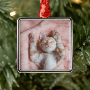 Cutest Baby Animals Tiny Orange Striped Kitten Metal Ornament
