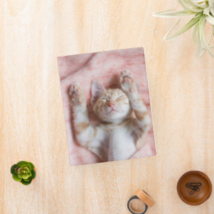 Cutest Baby Animals   Tiny Orange Striped Kitten Mini Binder
