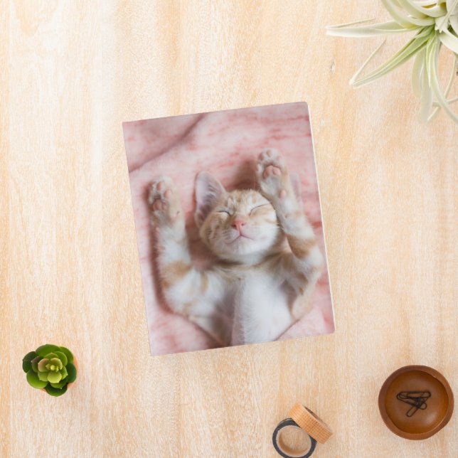 Cutest Baby Animals | Tiny Orange Striped Kitten Mini Binder (InSitu)