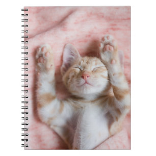 Cutest Baby Animals Tiny Orange Striped Kitten Notebook