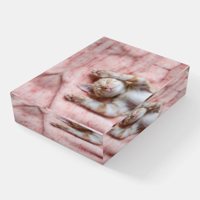 Cutest Baby Animals | Tiny Orange Striped Kitten Paperweight (Angled)