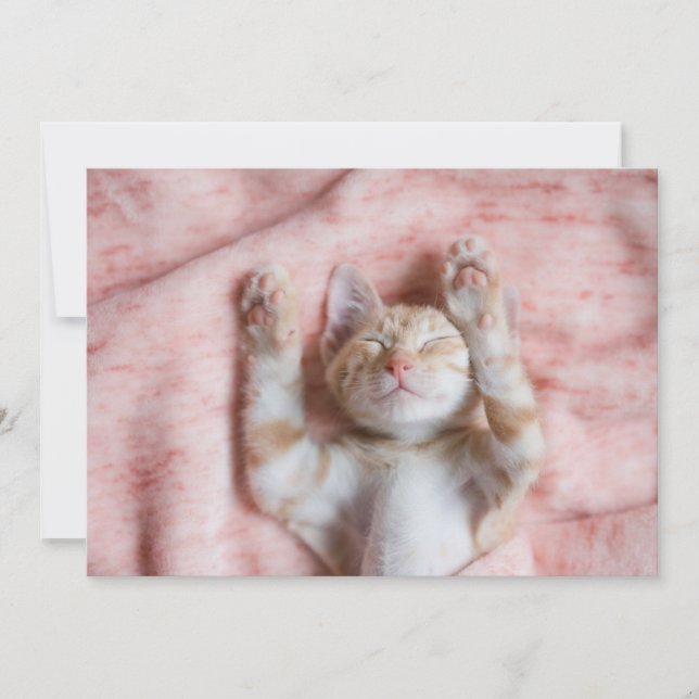Cutest Baby Animals | Tiny Orange Striped Kitten Thank You Card (Front)