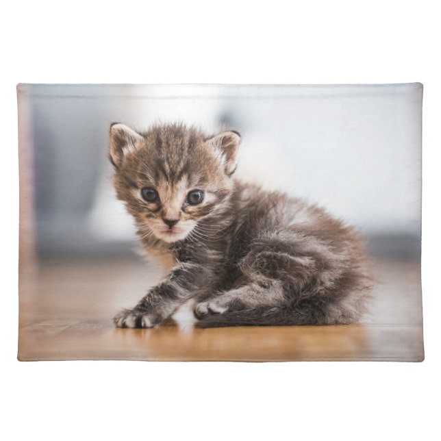 Cutest Baby Animals | Tiny Tabby Kitten Cloth Placemat (Front)