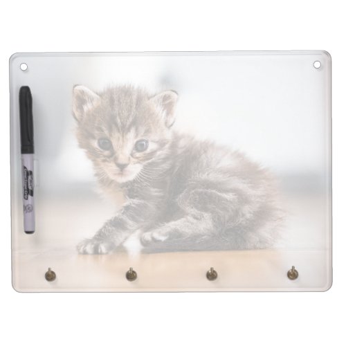 Cutest Baby Animals  Tiny Tabby Kitten Dry Erase Board With Keychain Holder