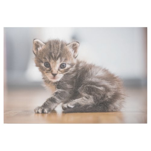 Cutest Baby Animals  Tiny Tabby Kitten Gallery Wrap