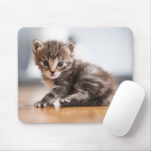 Cutest Baby Animals  Tiny Tabby Kitten Mouse Pad