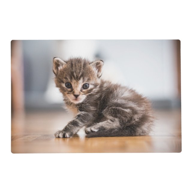 Cutest Baby Animals | Tiny Tabby Kitten Placemat (Front)