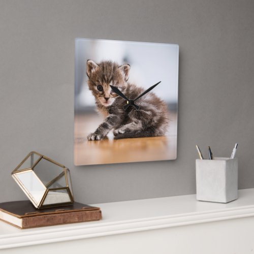 Cutest Baby Animals  Tiny Tabby Kitten Square Wall Clock