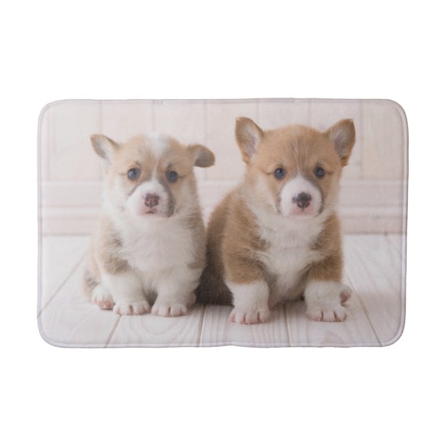 Cutest Baby Animals | Two Baby Corgis Sitting Bath Mat (Front)