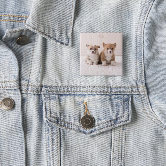 Cutest Baby Animals | Two Baby Corgis Sitting Button (In Situ)