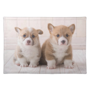 Cutest Baby Animals   Two Baby Corgis Sitting Cloth Placemat