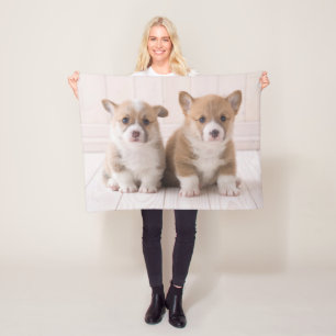 Cutest Baby Animals Two Baby Corgis Sitting Fleece Blanket