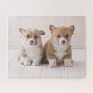 Cutest Baby Animals Two Baby Corgis Sitting Jigsaw Puzzle