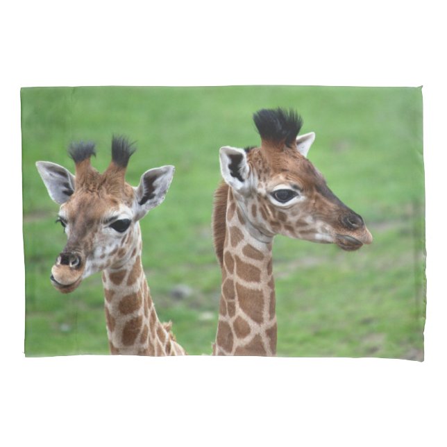 Cutest Baby Animals | Two Baby Giraffes Pillow Case (Front)