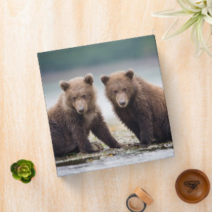 Cutest Baby Animals Two Bear Cubs 3 Ring Binder
