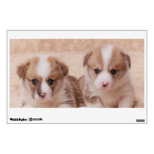 Cutest Baby Animals   Two Corgi Puppies Wall Decal