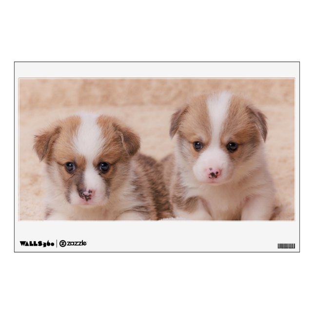 Cutest Baby Animals | Two Corgi Puppies Wall Decal (Front)