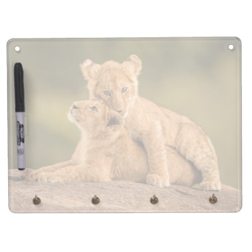 Cutest Baby Animals  Two Lion Cubs Dry Erase Board With Keychain Holder
