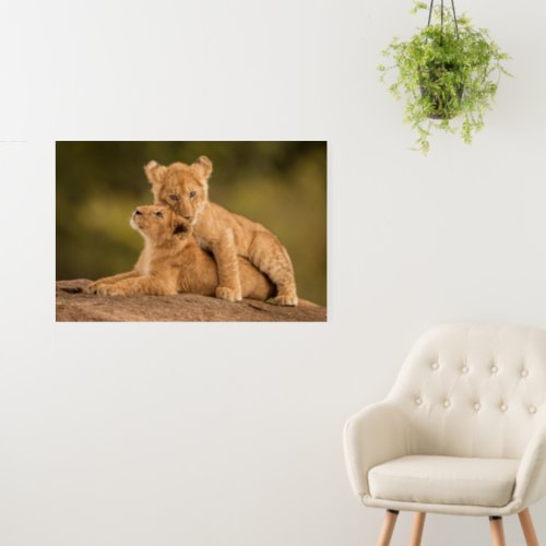 Cutest Baby Animals  Two Lion Cubs Foam Board