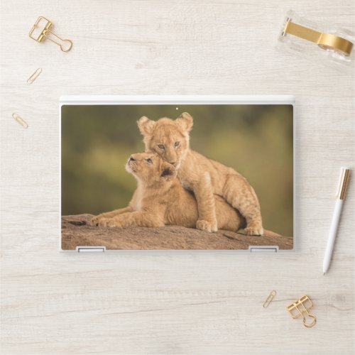 Cutest Baby Animals  Two Lion Cubs HP Laptop Skin