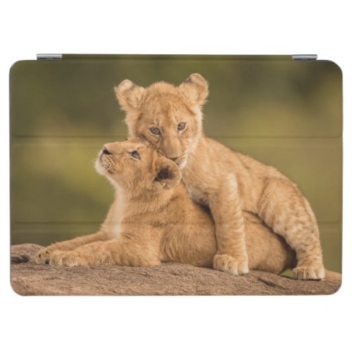 Cutest Baby Animals  Two Lion Cubs iPad Air Cover