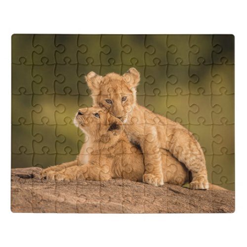 Cutest Baby Animals  Two Lion Cubs Jigsaw Puzzle