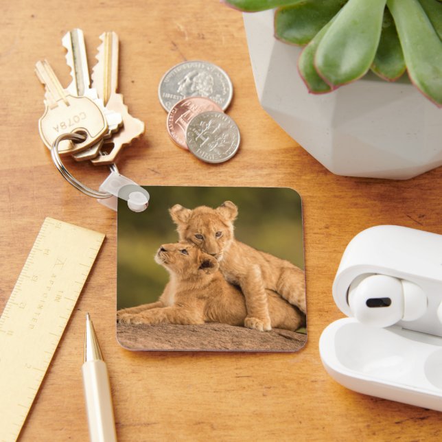 Cutest Baby Animals | Two Lion Cubs Keychain (Desk)