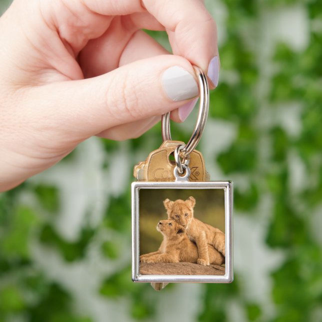 Cutest Baby Animals | Two Lion Cubs Keychain (Hand)