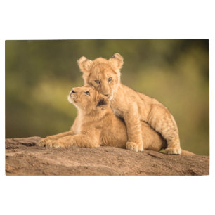 Cutest Baby Animals Two Lion Cubs Metal Print