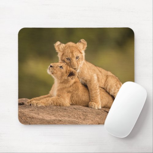 Cutest Baby Animals  Two Lion Cubs Mouse Pad