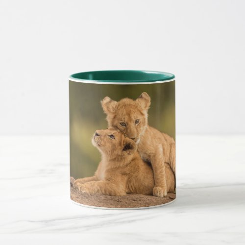 Cutest Baby Animals  Two Lion Cubs Mug