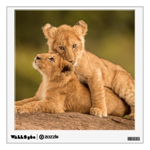Cutest Baby Animals  Two Lion Cubs Wall Decal