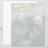 Cutest Baby Animals | Two Manatees (Front/Back)