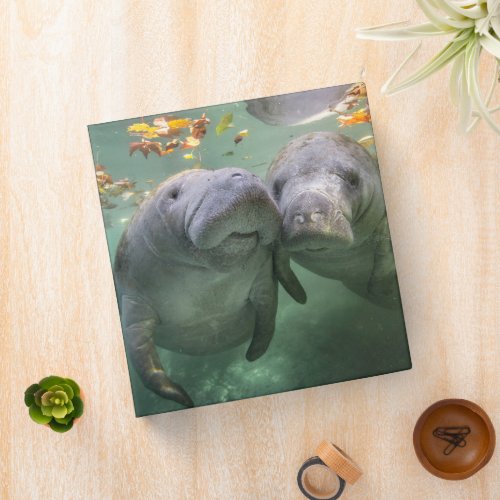 Cutest Baby Animals  Two Manatees 3 Ring Binder