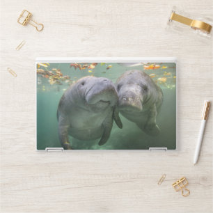 Cutest Baby Animals Two Manatees HP Laptop Skin