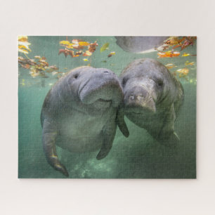 Cutest Baby Animals Two Manatees Jigsaw Puzzle