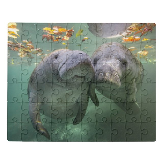 Cutest Baby Animals | Two Manatees Jigsaw Puzzle (Puzzle Horizontal)